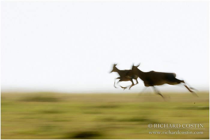 RichCostin_AfricaLiveBlog_2014a_08___0045
