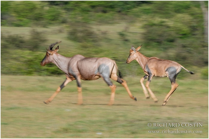 RichCostin_AfricaLiveBlog_2014a_08___0047