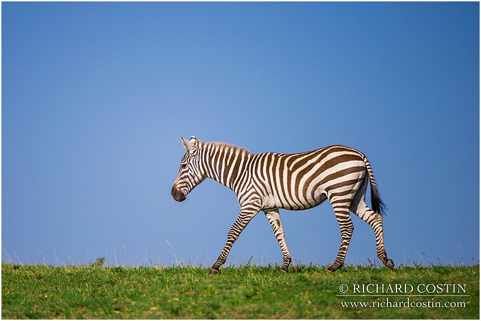 RichCostin_AfricaLiveBlog_2014a_08___0048