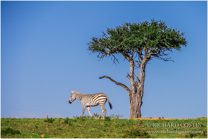 RichCostin_AfricaLiveBlog_2014a_08___0049