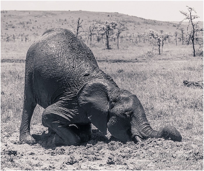 RichCostin_AfricaLiveBlog_2014a_08___0052