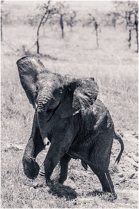 RichCostin_AfricaLiveBlog_2014a_08___0053