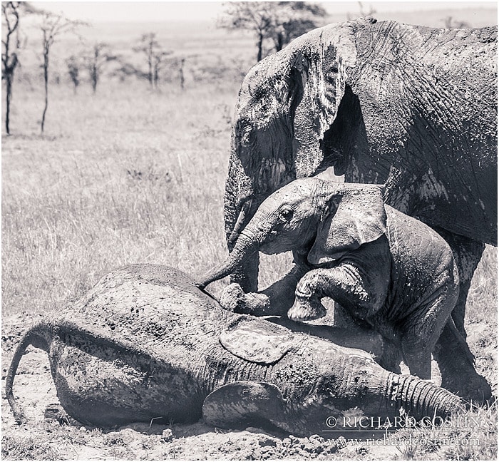 RichCostin_AfricaLiveBlog_2014a_08___0054