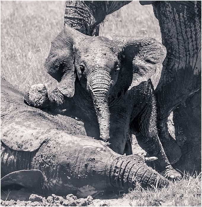 RichCostin_AfricaLiveBlog_2014a_08___0055