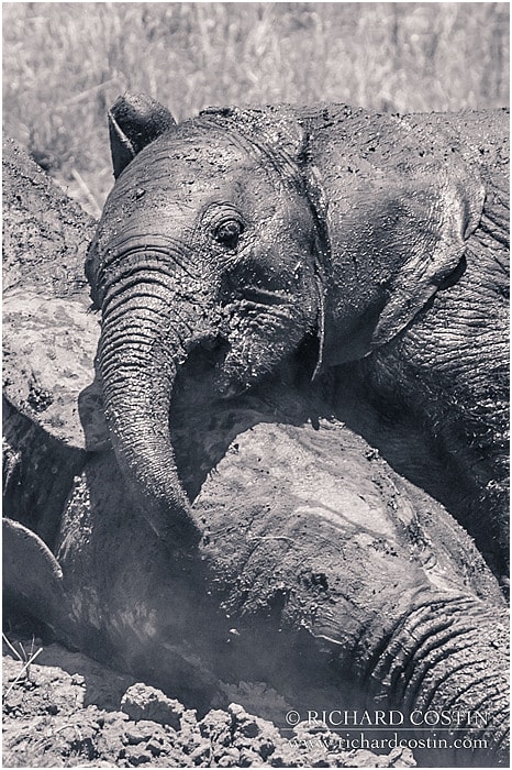 RichCostin_AfricaLiveBlog_2014a_08___0056
