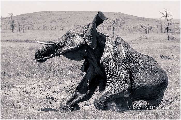 RichCostin_AfricaLiveBlog_2014a_08___0057