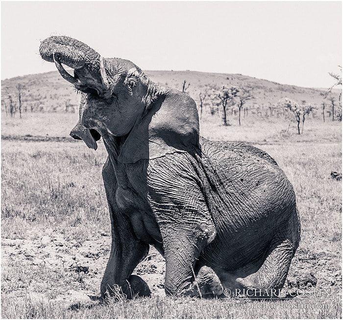 RichCostin_AfricaLiveBlog_2014a_08___0058