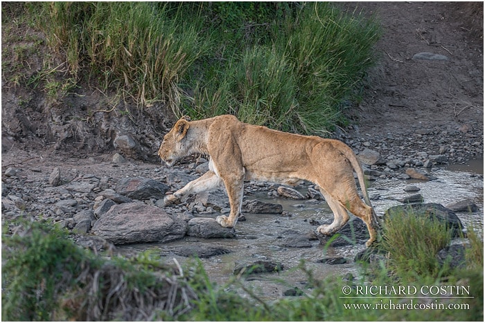 RichCostin_AfricaLiveBlog_2014a_08___0059