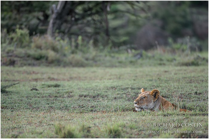 RichCostin_AfricaLiveBlog_2014a_08___0060