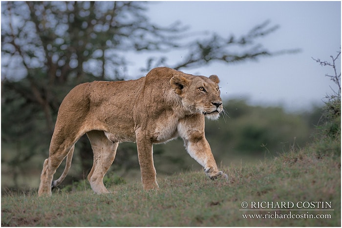 RichCostin_AfricaLiveBlog_2014a_08___0061
