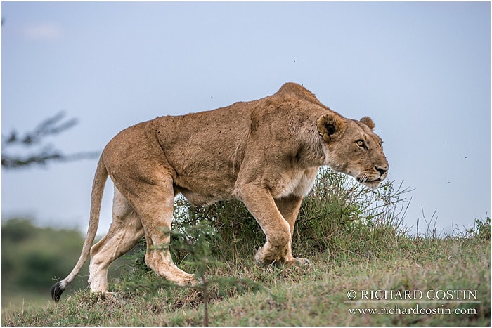 RichCostin_AfricaLiveBlog_2014a_08___0062