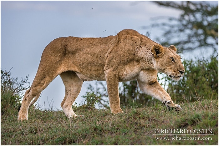 RichCostin_AfricaLiveBlog_2014a_08___0063