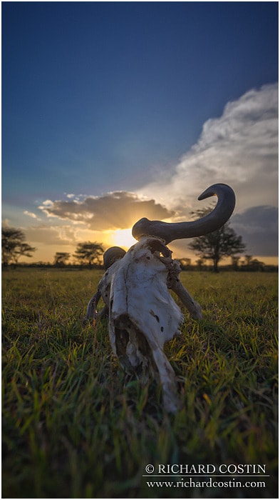 RichCostin_AfricaLiveBlog_2014a_08___0064
