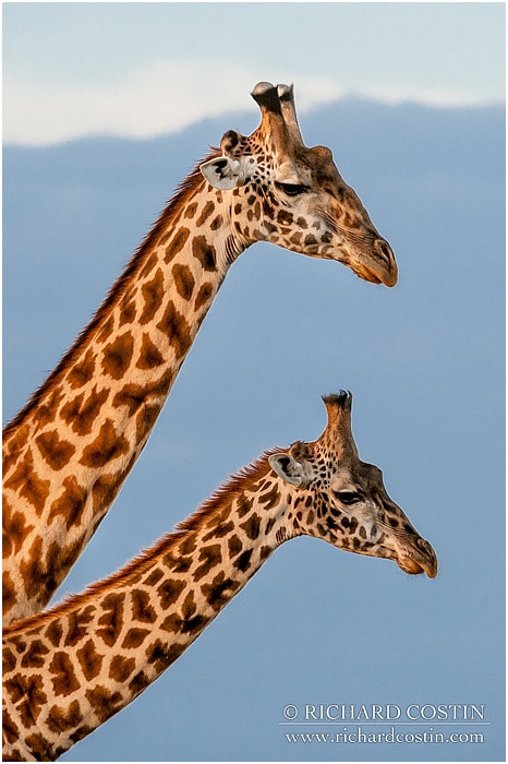 RichCostin_AfricaLiveBlog_2014a_08___0068