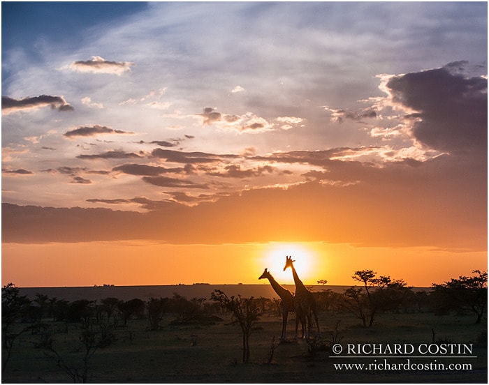 RichCostin_AfricaLiveBlog_2014a_08___0072