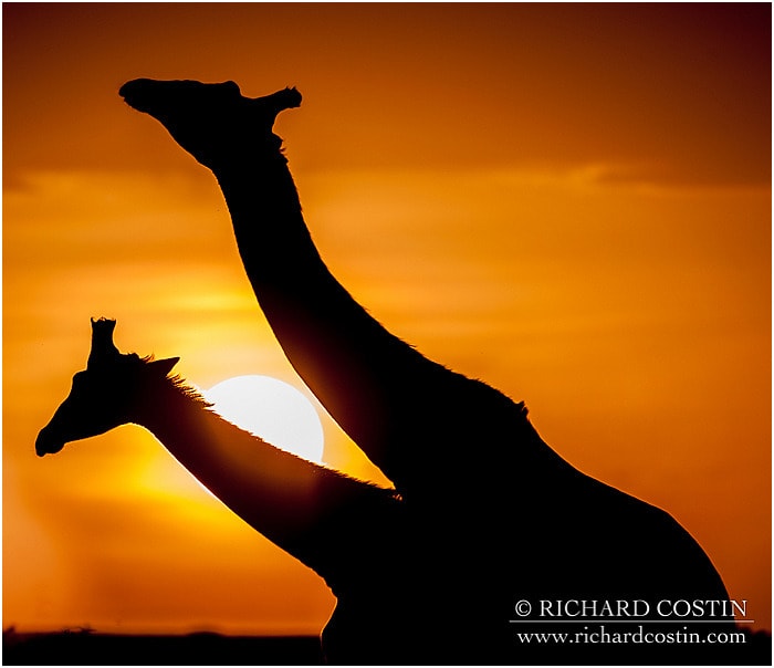 RichCostin_AfricaLiveBlog_2014a_08___0073