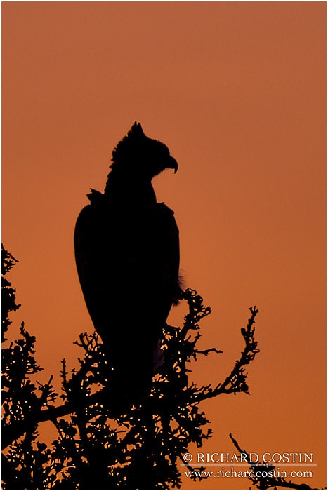 RichCostin_AfricaLiveBlog_2014a_09___0025