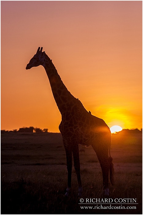 RichCostin_AfricaLiveBlog_2014a_09___0027