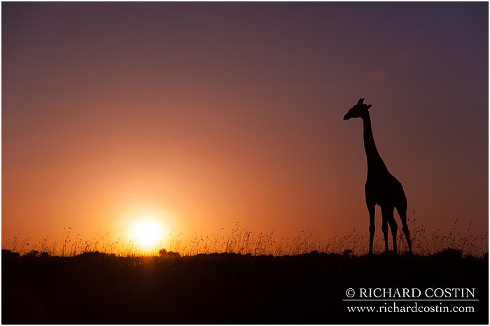 RichCostin_AfricaLiveBlog_2014a_09___0029