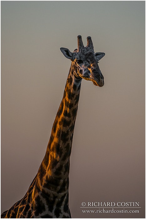 RichCostin_AfricaLiveBlog_2014a_09___0030