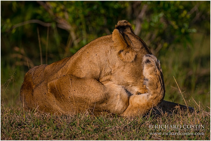 RichCostin_AfricaLiveBlog_2014a_09___0032