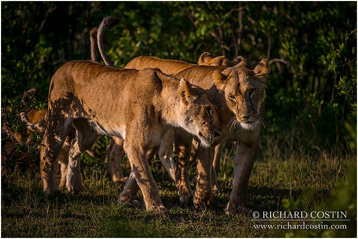 RichCostin_AfricaLiveBlog_2014a_09___0033