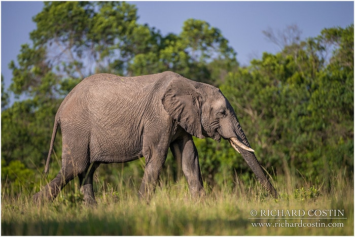 RichCostin_AfricaLiveBlog_2014a_09___0036