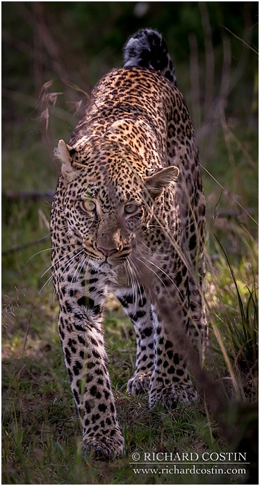 RichCostin_AfricaLiveBlog_2014a_09___0038