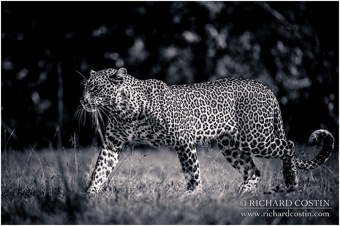 RichCostin_AfricaLiveBlog_2014a_09___0039