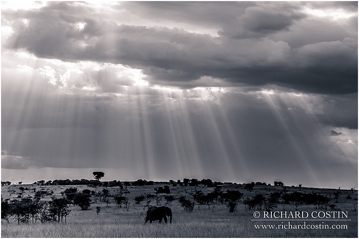RichCostin_AfricaLiveBlog_2014a_09___0042