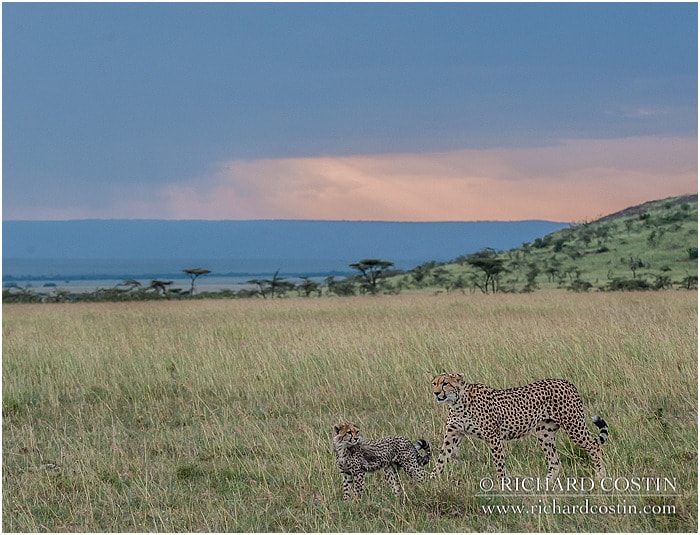 RichCostin_AfricaLiveBlog_2014a_09___0043