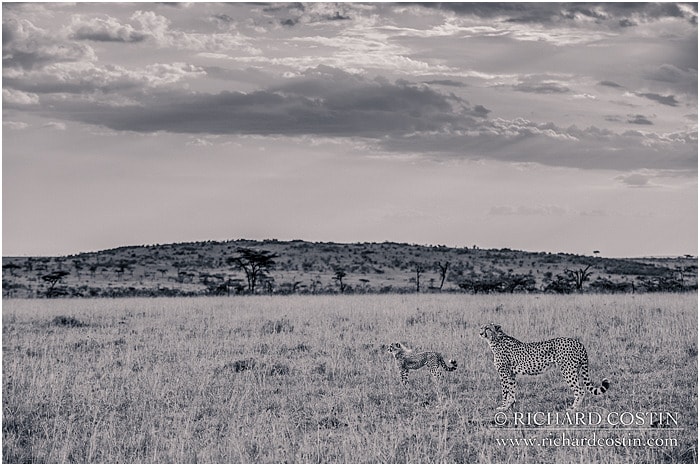 RichCostin_AfricaLiveBlog_2014a_09___0044