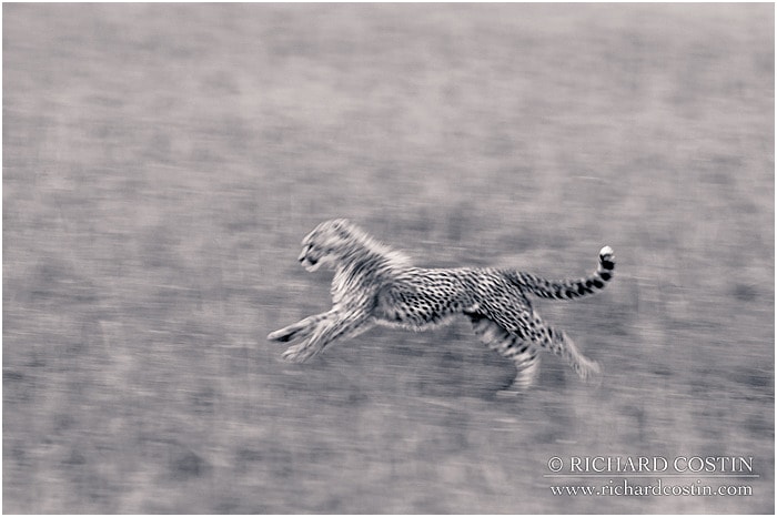 RichCostin_AfricaLiveBlog_2014a_09___0045