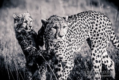 RichCostin_AfricaLiveBlog_2014a_10___0016
