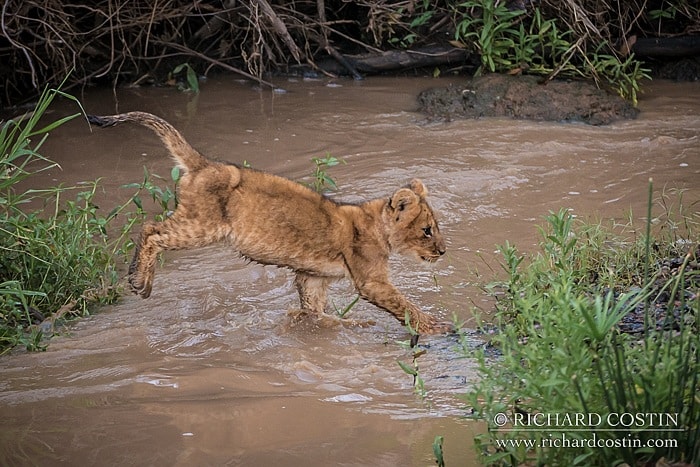 RichCostin_AfricaLiveBlog_2014a_11___0025