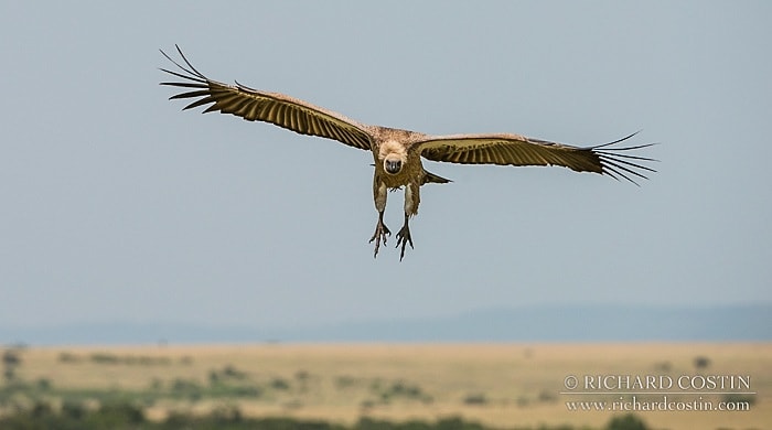 RichCostin_AfricaLiveBlog_2014a_11___0050