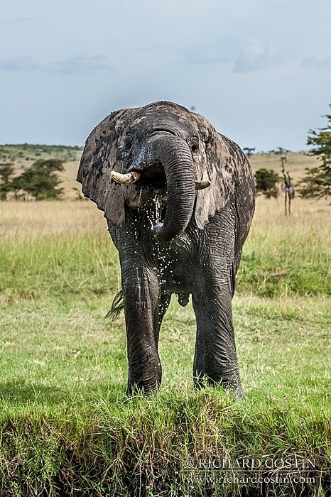 RichCostin_AfricaLiveBlog_2014a_11___0072