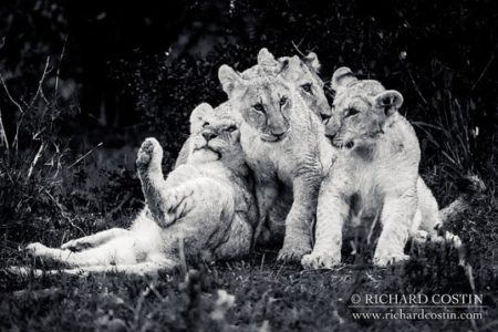 Africa Live Sept 2014: 04 Wet and Wild