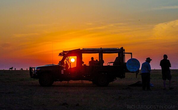 Wildlife Photography Safari - Big Cats of the Masai Mara, 2020