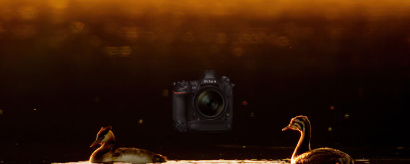 Nikon D6 DSLR, Hands on test.